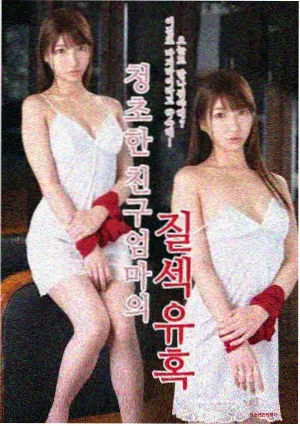 心之花瓣 纪录影像封面，暖色光线下的花枝